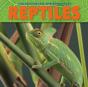 Reptiles - Preview