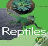 Reptiles