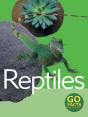 Reptiles - Preview