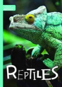 Reptiles - Preview