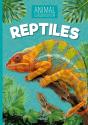 Reptiles - Preview