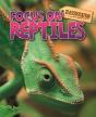 Reptiles - Preview