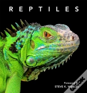 Capa do artigo Reptiles
