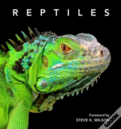 Capa do artigo Reptiles