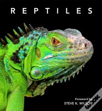 Reptiles