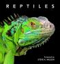 Reptiles - Preview