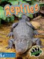 Reptiles - Preview