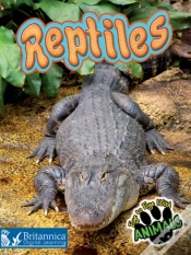 Capa do artigo Reptiles