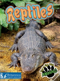 Capa do artigo Reptiles