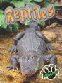 Reptiles - Preview