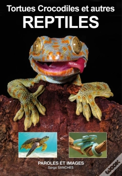 Capa do artigo Reptiles : Tortues, Crocodiles Et Autres