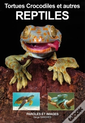 Capa do artigo Reptiles : Tortues, Crocodiles Et Autres