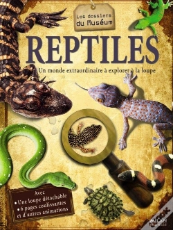 Capa do artigo Reptiles