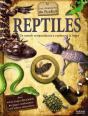 Reptiles - Preview