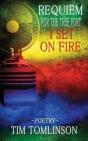 Requiem For The Tree Fort I Set On Fire - Preview
