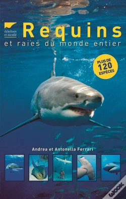 Capa do artigo Requins Et Raies Du Monde Entier