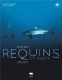 Requins Et Raies : Regards Croisés - Preview