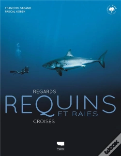 Capa do artigo Requins Et Raies : Regards Croisés