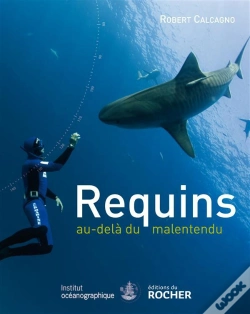 Capa do artigo Requins