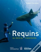 Capa do artigo Requins