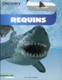 Requins - Preview