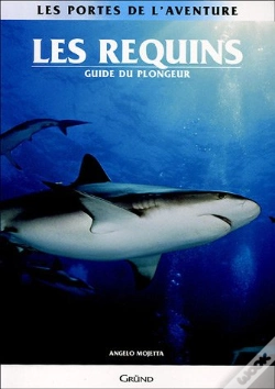 Capa do artigo Requins