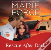 Capa do artigo Rescue After Dark
