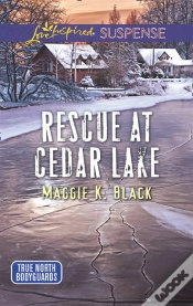 Capa do artigo Rescue At Cedar Lake