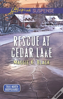 Capa do artigo Rescue At Cedar Lake