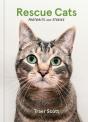 Rescue Cats - Preview
