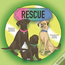 Capa do artigo Rescue