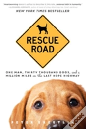 Capa do artigo Rescue Road