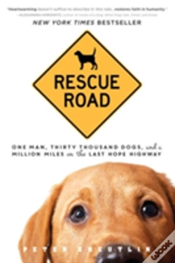 Capa do artigo Rescue Road