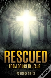 Capa do artigo Rescued