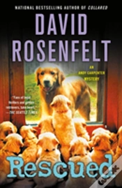 Capa do artigo Rescued