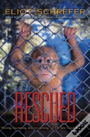 Capa do artigo Rescued