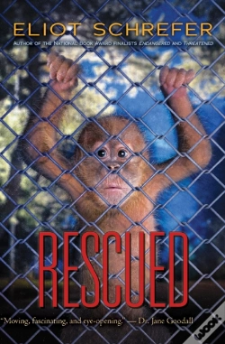 Capa do artigo Rescued