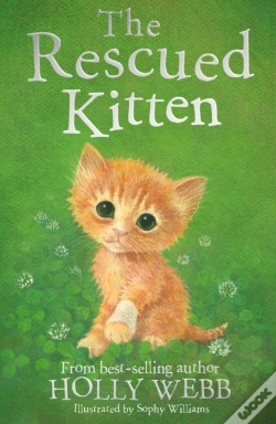 Capa do artigo Rescued Kitten