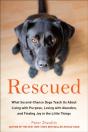 Rescued - Preview