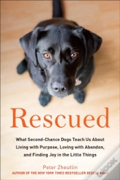 Capa do artigo Rescued