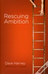 Rescuing Ambition