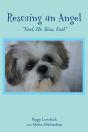 Rescuing An Angel - Preview