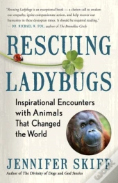 Rescuing Ladybugs