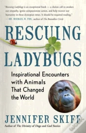 Capa do artigo Rescuing Ladybugs