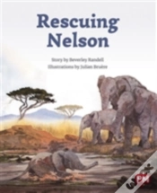 Capa do artigo Rescuing Nelson