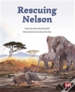 Capa do artigo Rescuing Nelson