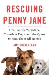 Rescuing Penny Jane