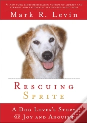 Capa do artigo Rescuing Sprite