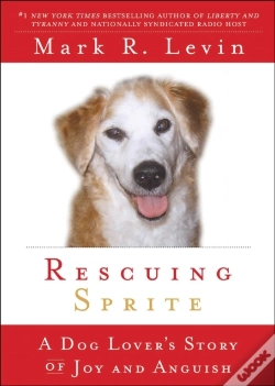 Capa do artigo Rescuing Sprite