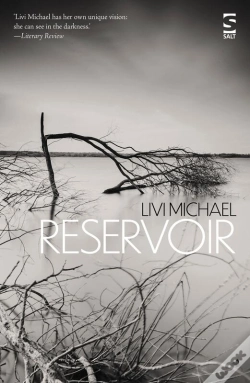 Capa do artigo Reservoir
